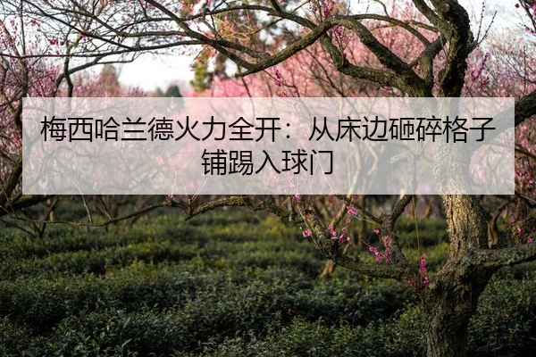 梅西哈兰德火力全开：从床边砸碎格子铺踢入球门